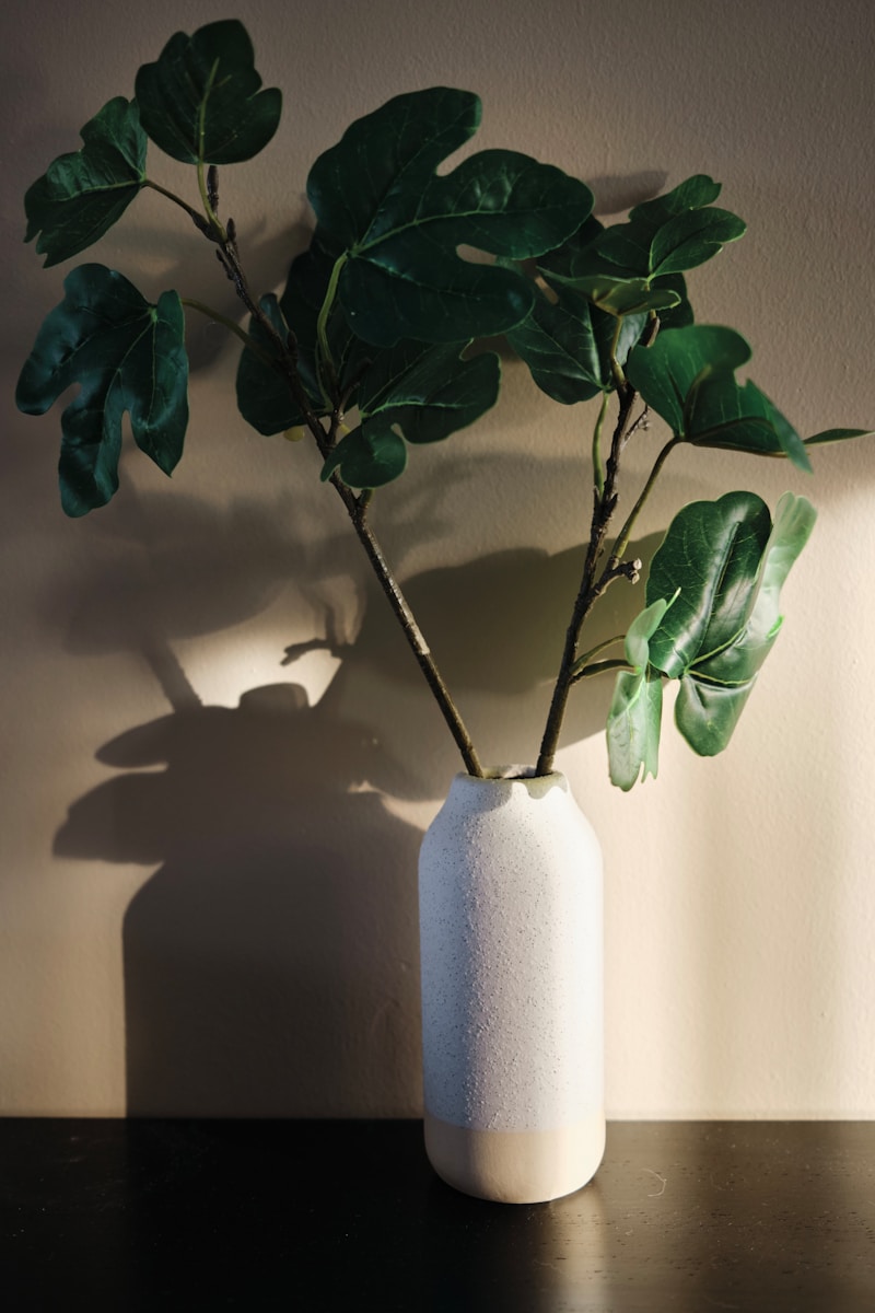 a plant in a white vase on a table